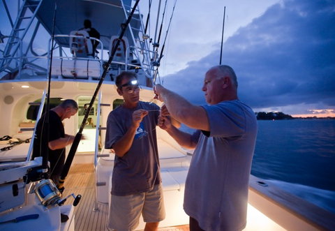 Amokura Charters - New Castle Holiday 1