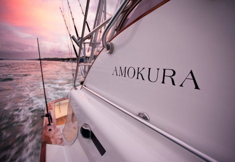 Amokura Charters - New Castle Holiday 4