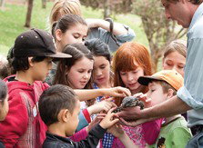 Blackbutt Reserve - New Castle Holiday 2