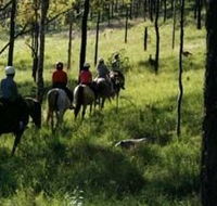 Hunter Valley Horse Riding and Adventures - New Castle Holiday