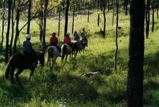Hunter Valley Horse Riding And Adventures - New Castle Holiday 0