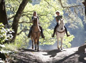 Hunter Valley Horse Riding And Adventures - New Castle Holiday 1