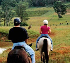 Hunter Valley Horse Riding And Adventures - New Castle Holiday 3