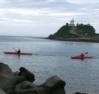 Newcastle Kayak Tours - New Castle Holiday
