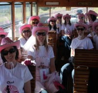 Newcastles Famous Tram - New Castle Holiday