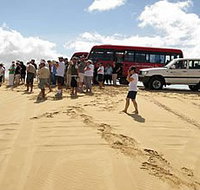 Port Stephens 4WD Tours - New Castle Holiday