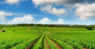 Sydney Weekend Adventures - New Castle Holiday 2