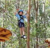 TreeTops Newcastle - New Castle Holiday