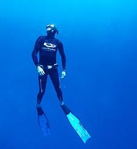 Byron Bay Dive Centre - New Castle Holiday 1