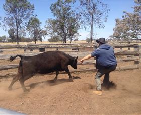 OutBackPackers - New Castle Holiday 3