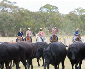 OutBackPackers - New Castle Holiday 2