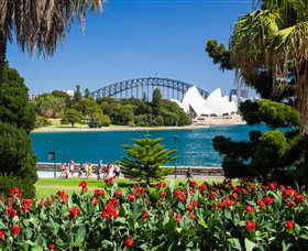 Activities Sedan SA New Castle Holiday