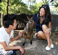 VIP Aussie Gold - New Castle Holiday