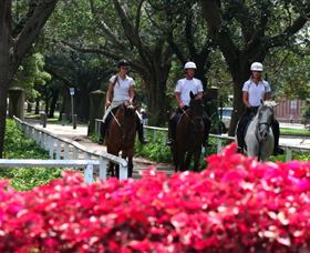 Centennial Parklands Horse Ride - New Castle Holiday 1