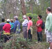 Boronia Tours - New Castle Holiday