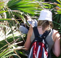 Palm Jungle loop track - New Castle Holiday