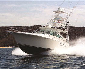 1300 Big Fish - New Castle Holiday 0