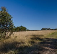 Scheyville horse riding trails - New Castle Holiday