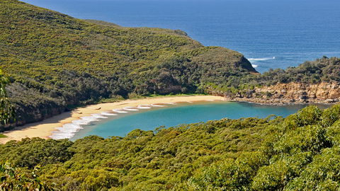 Bouddi National Park - New Castle Holiday 0