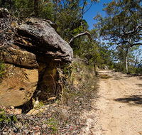 Canoelands Ridge walking track - New Castle Holiday