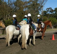 Darkes Forest Riding Ranch - New Castle Holiday
