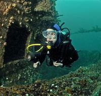Ex-Hmas Adelaide Dive Site - New Castle Holiday