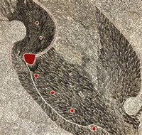 Marshall Arts - New Castle Holiday