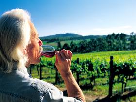 Ashton Hills Vineyard - New Castle Holiday 0