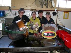 Melba's Chocolate And Confectionery Factory - New Castle Holiday 1