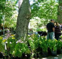 The Stirling Market - New Castle Holiday