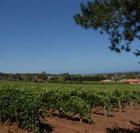 Grancari - New Castle Holiday