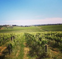 Adelaide Winemakers - New Castle Holiday