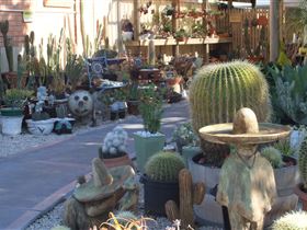 Cactus Creations - New Castle Holiday 0