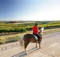 Kidman Trail - New Castle Holiday