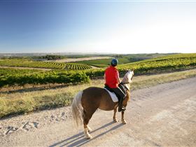 Kidman Trail - New Castle Holiday 0