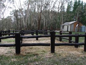 Kidman Trail - New Castle Holiday 2