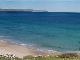 Carrickalinga Beach - New Castle Holiday 1