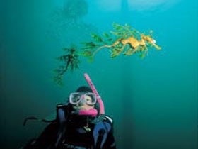 Rapid Bay Beach - New Castle Holiday 1