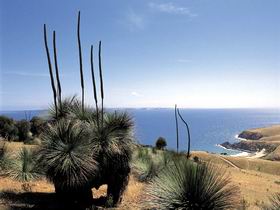 Deep Creek Conservation Park - New Castle Holiday 2