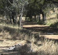 Chudleigh Park Gem Fields - New Castle Holiday