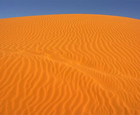 Perry Sandhills - New Castle Holiday 0