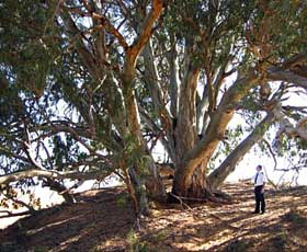 Perry Sandhills - New Castle Holiday 2