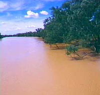 Warrego River - New Castle Holiday