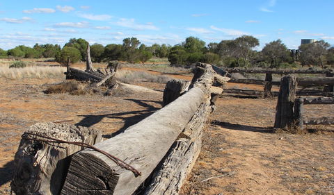 Zanci Pastoral Loop - New Castle Holiday 0