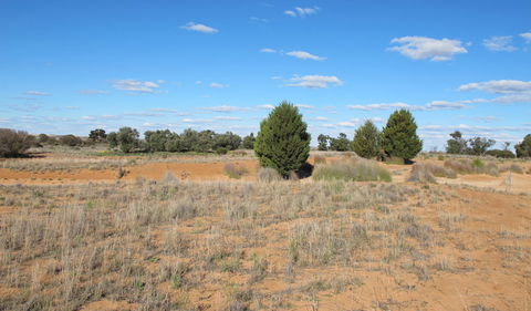 Zanci Pastoral Loop - New Castle Holiday 3