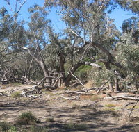 Mirri Mirru Yurun - New Castle Holiday