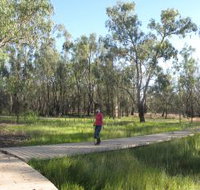 Ben Scott Memorial Bird Trail - New Castle Holiday