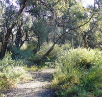 Nilla Yannagalang Billana - New Castle Holiday