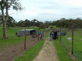 Avenue Range ACT New Castle Holiday