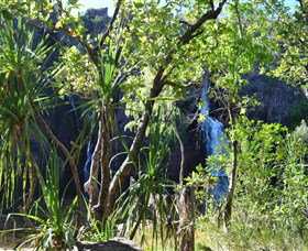 Manngarre Rainforest Walk - New Castle Holiday 1